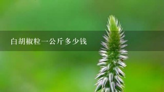 白胡椒粒1公斤多少钱 白胡椒粒1公斤多少钱