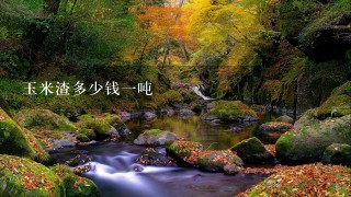 玉米渣多少钱1吨 玉米渣多少钱1吨