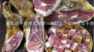 看看这个是什么海参,为什么1层白膜还不带刺的,这 看看这个是什么海参,为什么1层白膜还不带刺的,这