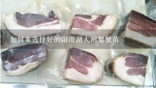 如何来选择好的阳澄湖大闸蟹蟹苗 如何来选择好的阳澄湖大闸蟹蟹苗