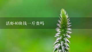 活虾40块钱1斤贵吗 活虾40块钱1斤贵吗