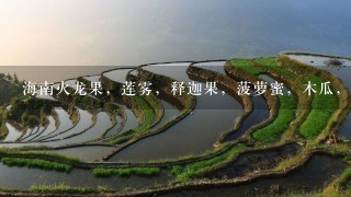 海南火龙果,莲雾,释迦果,菠萝蜜,木瓜,火龙果,芒果,榴莲这几样水果多少钱1斤 海南火龙果,莲雾,释迦果,菠萝蜜,木瓜,火龙果,芒果,榴莲这几样水果多少钱1斤