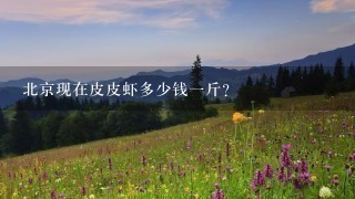 北京现在皮皮虾多少钱1斤? 北京现在皮皮虾多少钱1斤?