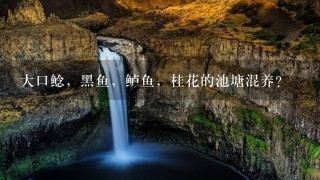 大口鲶,黑鱼,鲈鱼,桂花的池塘混养? 大口鲶,黑鱼,鲈鱼,桂花的池塘混养?