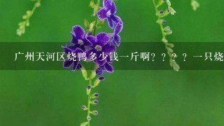 广州天河区烧鸭多少钱1斤啊????1只烧鸭腿多少钱啊???想吃 广州天河区烧鸭多少钱1斤啊????1只烧鸭腿多少钱啊???想吃