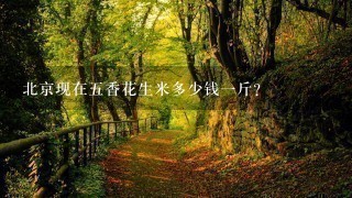 北京现在5香花生米多少钱1斤? 北京现在5香花生米多少钱1斤?