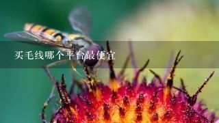 买毛线哪个平台最便宜 买毛线哪个平台最便宜