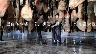 黑鱼多少钱1斤,想买1只小的,想知道大概行? 黑鱼多少钱1斤,想买1只小的,想知道大概行?