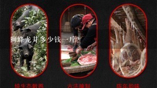 狮峰龙井多少钱1斤? 狮峰龙井多少钱1斤?