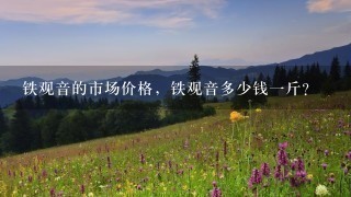 铁观音的市场价格,铁观音多少钱1斤? 铁观音的市场价格,铁观音多少钱1斤?