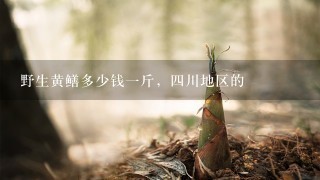 野生黄鳝多少钱1斤,4川地区的 野生黄鳝多少钱1斤,4川地区的
