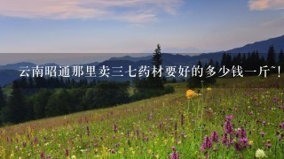 云南昭通那里卖37药材要好的多少钱1斤~! 云南昭通那里卖37药材要好的多少钱1斤~!