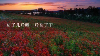 茄子几斤晒1斤茄子干 茄子几斤晒1斤茄子干
