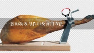 牛胶的功效与作用及食用方法 牛胶的功效与作用及食用方法