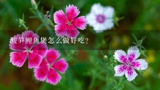 酸笋鲤鱼煲怎么做好吃? 酸笋鲤鱼煲怎么做好吃?