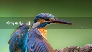 香辣鸡尖王刚? 香辣鸡尖王刚?