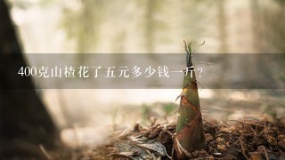 400克山楂花了5元多少钱1斤? 400克山楂花了5元多少钱1斤?