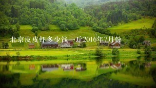 北京皮皮虾多少钱1斤2016年7月份 北京皮皮虾多少钱1斤2016年7月份