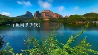 1斤鱼肉多少钱? 1斤鱼肉多少钱?