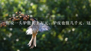据说1头驴能卖上万元,驴皮也值几千元,这是真的吗 据说1头驴能卖上万元,驴皮也值几千元,这是真的吗