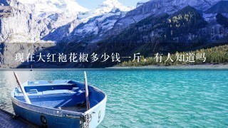 现在大红袍花椒多少钱1斤,有人知道吗 现在大红袍花椒多少钱1斤,有人知道吗