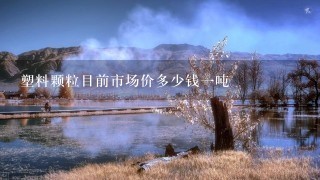 塑料颗粒目前市场价多少钱1吨 塑料颗粒目前市场价多少钱1吨