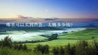 哪里可以买到芦荟,大概多少钱? 哪里可以买到芦荟,大概多少钱?