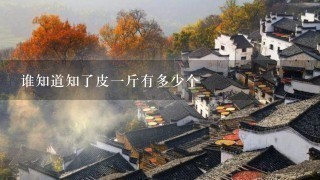 谁知道知了皮1斤有多少个 谁知道知了皮1斤有多少个