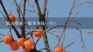 饭店草鱼1般多少钱1斤? 饭店草鱼1般多少钱1斤?