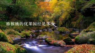 猕猴桃的优果国经是多少 猕猴桃的优果国经是多少