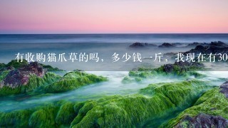 有收购猫爪草的吗,多少钱1斤,我现在有300斤左右, 有收购猫爪草的吗,多少钱1斤,我现在有300斤左右,