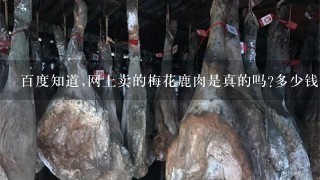 百度知道,网上卖的梅花鹿肉是真的吗?多少钱1斤 百度知道,网上卖的梅花鹿肉是真的吗?多少钱1斤