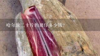 哈尔滨2十斤的猪仔多少钱? 哈尔滨2十斤的猪仔多少钱?