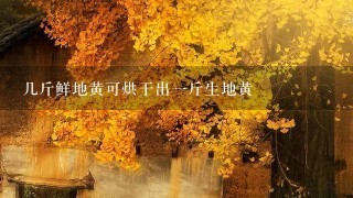 几斤鲜地黄可烘干出1斤生地黄 几斤鲜地黄可烘干出1斤生地黄