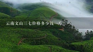 云南文山37价格多少钱1斤?1 云南文山37价格多少钱1斤?1