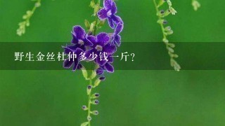 野生金丝杜仲多少钱1斤? 野生金丝杜仲多少钱1斤?