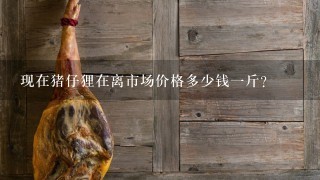 现在猪仔狸在离市场价格多少钱1斤? 现在猪仔狸在离市场价格多少钱1斤?