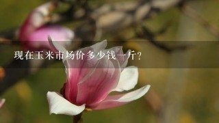 现在玉米市场价多少钱1斤? 现在玉米市场价多少钱1斤?