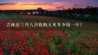 吉林市3月8日收购玉米多少钱1斤? 吉林市3月8日收购玉米多少钱1斤?