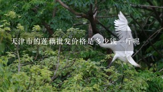 天津市的莲藕批发价格是多少钱1斤呢 天津市的莲藕批发价格是多少钱1斤呢