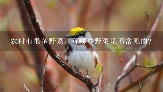 农村有很多野菜,有哪些野菜是不常见的? 农村有很多野菜,有哪些野菜是不常见的?
