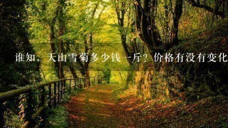 谁知,天山雪菊多少钱1斤?价格有没有变化啊?? 谁知,天山雪菊多少钱1斤?价格有没有变化啊??