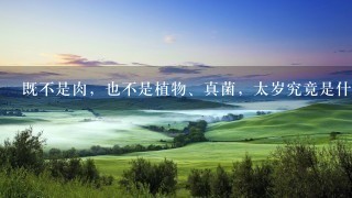 既不是肉,也不是植物、真菌,太岁究竟是什么? 既不是肉,也不是植物、真菌,太岁究竟是什么?