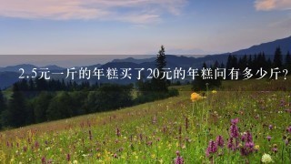 2.5元1斤的年糕买了20元的年糕问有多少斤? 2.5元1斤的年糕买了20元的年糕问有多少斤?