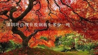 深圳坪山现在废钢筋头多少1吨 深圳坪山现在废钢筋头多少1吨