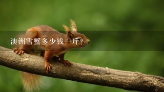 澳洲雪蟹多少钱1斤? 澳洲雪蟹多少钱1斤?