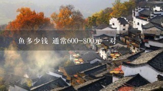 魟鱼多少钱 通常600-800元1对 魟鱼多少钱 通常600-800元1对