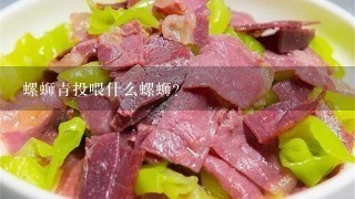 螺蛳青投喂什么螺蛳? 螺蛳青投喂什么螺蛳?