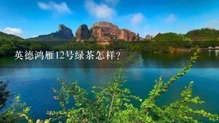英德鸿雁12号绿茶怎样? 英德鸿雁12号绿茶怎样?