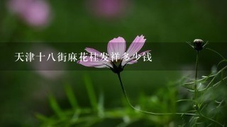 天津十8街麻花桂发祥多少钱 天津十8街麻花桂发祥多少钱